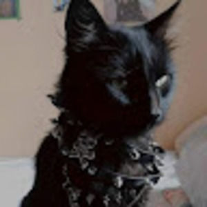 Meet your Posher, Katie-abigail